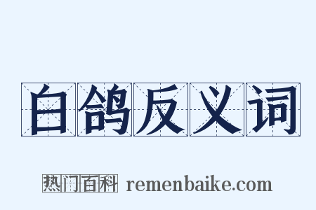 白鸽反义词是什么意思的图片